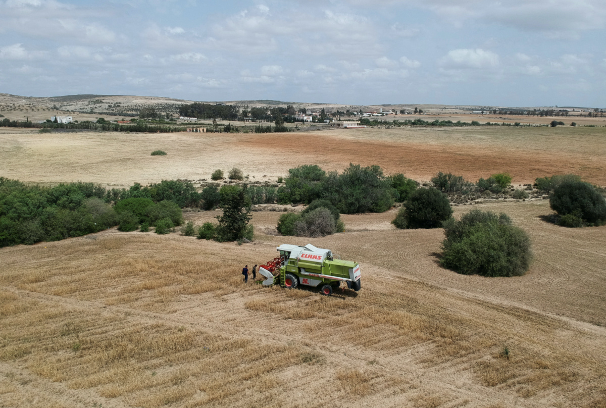 A combine harvests wheat on a field that belongs to farmer Hasan Chetoui in Manouba, Tunisia=, on 24th May, 2023. 