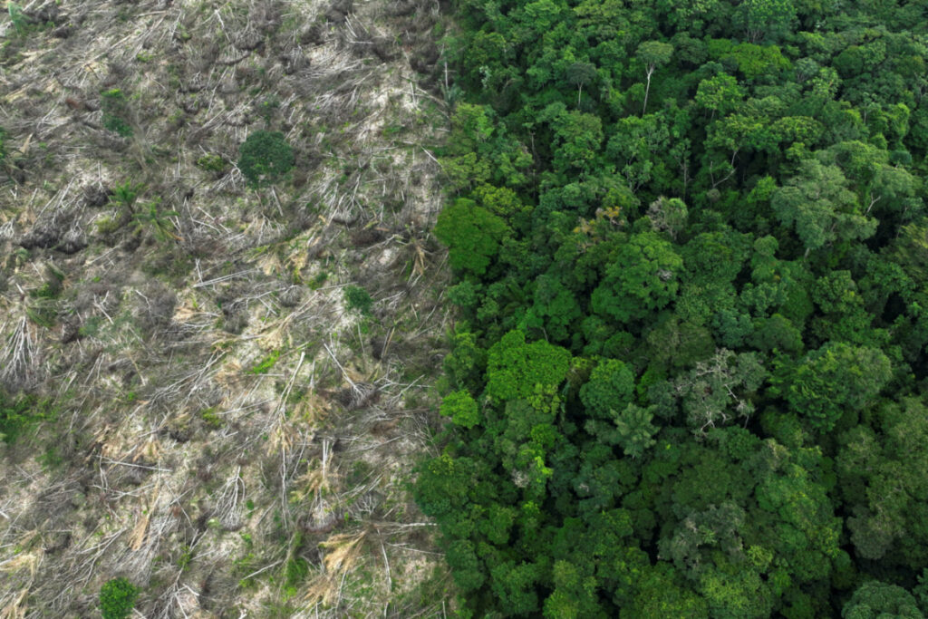 An aerial view shows a deforested area during an operation to combat deforestation near Uruara, Para State, Brazil, on 21st January, 2023.