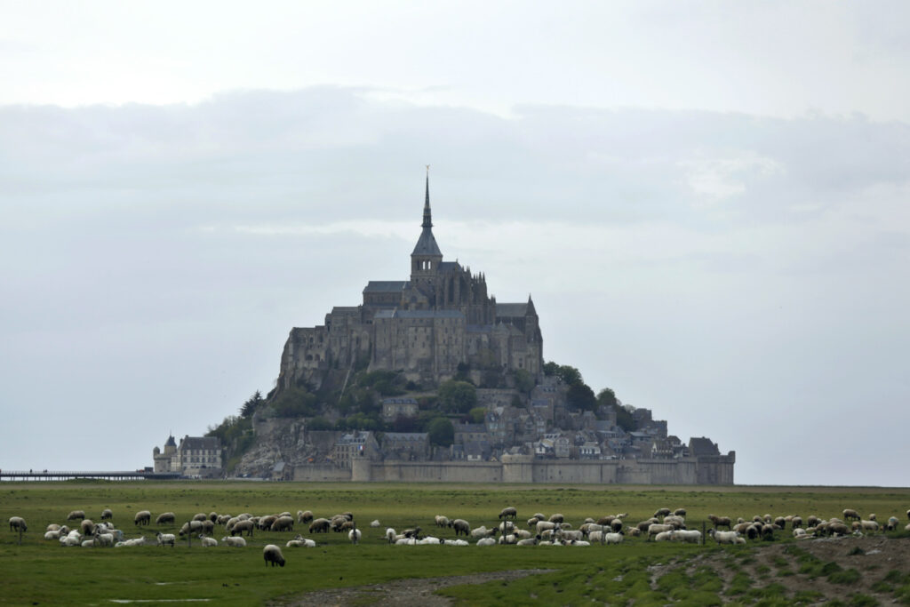 Sheeps graze in the fields around the Mont Saint Michel, on Wednesday, 8th May, 2018, in western France