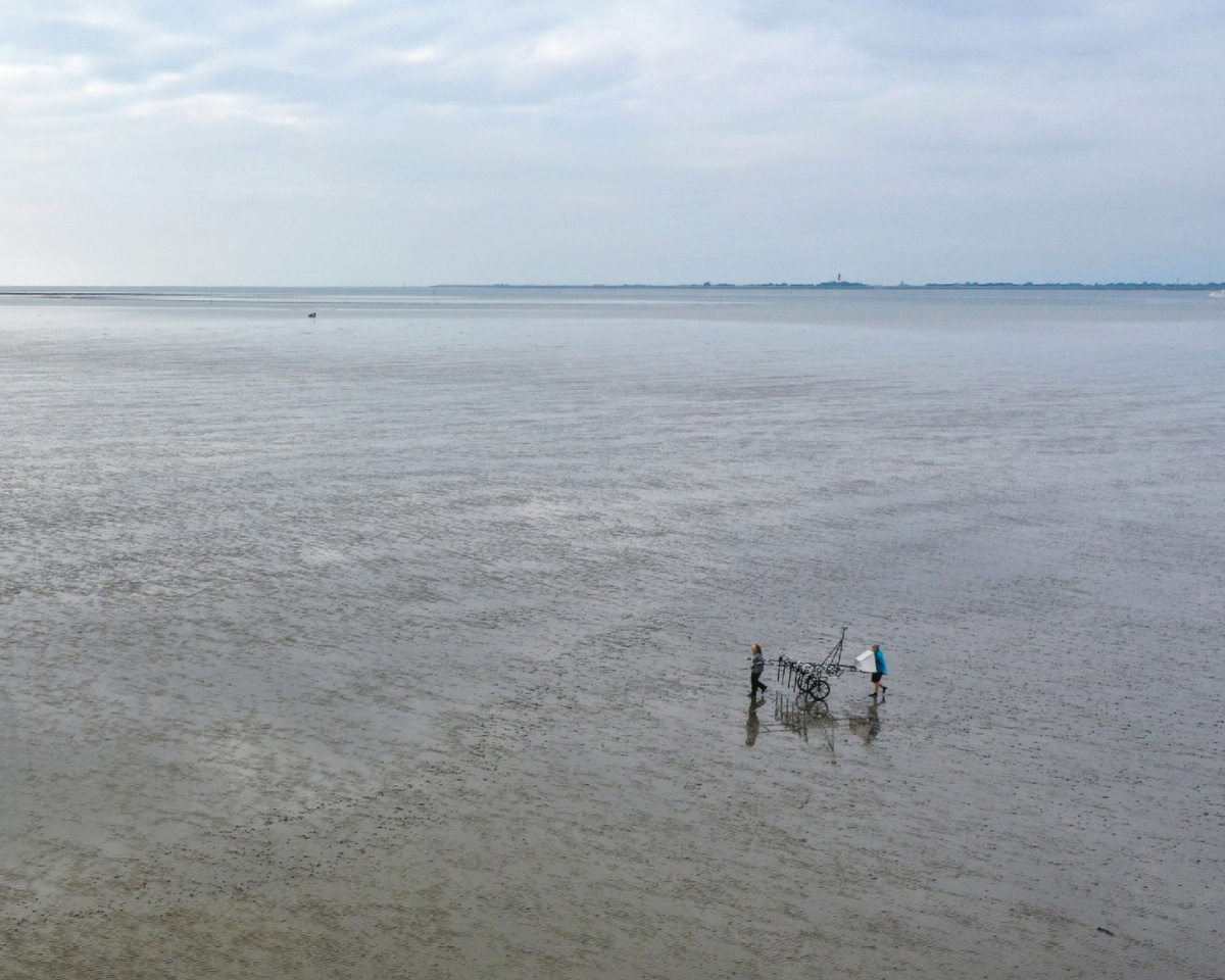 A lightweight measuring cart provides large-scale magnetic mapping of cultural traces hidden beneath the surface of today's mudflats in northern Germany. 