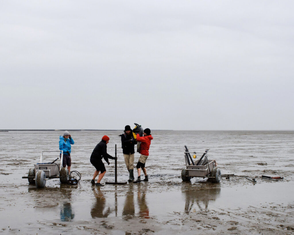 Sediment cores are taken to record settlement remains and reconstruct landscape development at selected sites on the tidal flats in northern Germany.