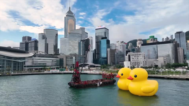 Hong Kong - Double Ducks