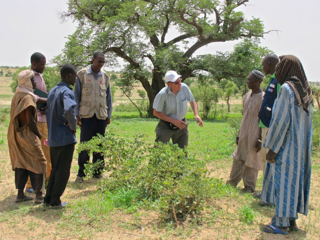 Photos from FMNR activities in Niger.