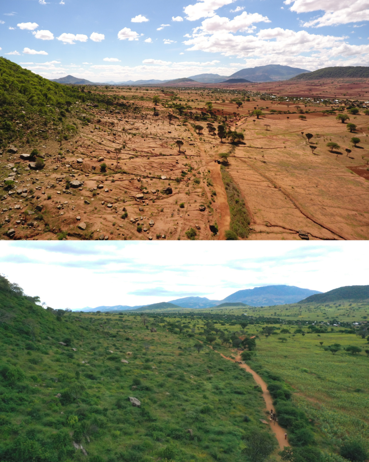 Tanzania FMNR before and after