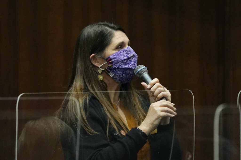 State Rep Stephanie Stahl Hamilton, a Democrat from Tucson, speaks during the opening of the Arizona Legislature in Phoenix on 11th January, 2021.