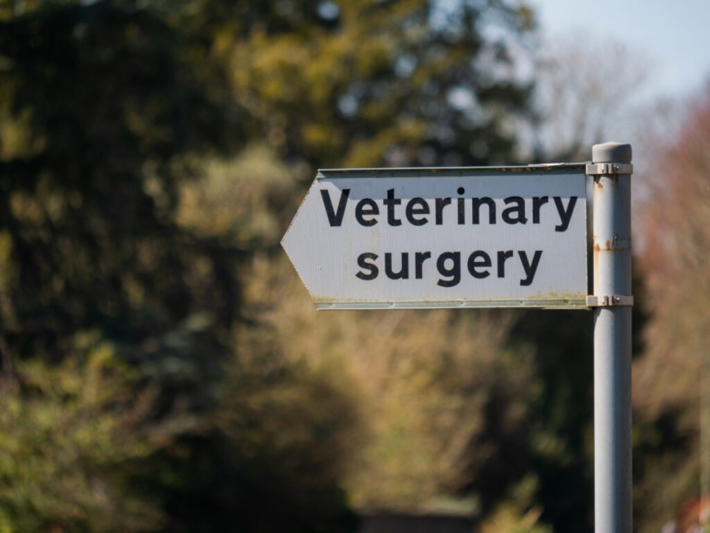 Veterinary surgery sign