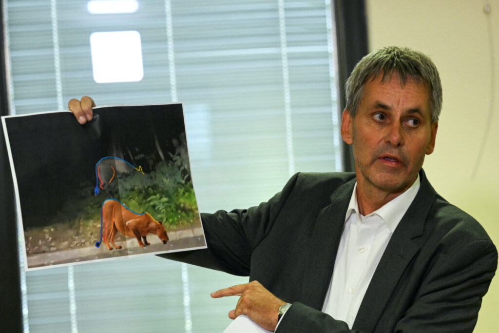 Michael Grubert, Mayor of Kleinmachnow, holds a picture which shows that suspected animal on the loose may not be a lion, according to experts, in Kleinmachnow, Germany, on 21st July, 2023.