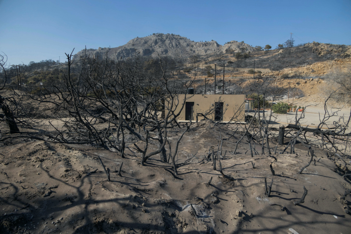 Charred trees are seen next to the beach of Glystra, as a wildfire burns on the island of Rhodes, Greece, on 24th July, 2023.