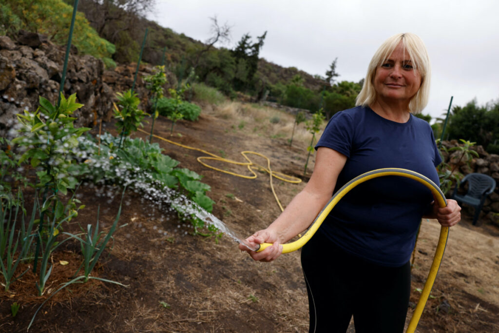 Dutch Karin Bansgerg, 57, waters the trees on the land she has bought to build her new house with the aid given to her by the government after losing her house because of the Tajogaite volcano eruption on the Canary Island of La Palma, Spain, on 6th July, 2023