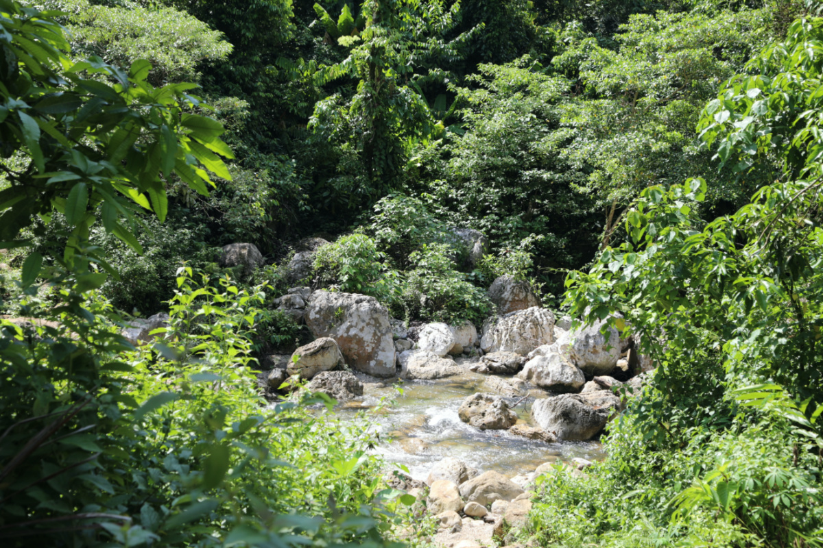 A stream used by the Wana people for bathing in North Morowali Regency on the Indonesian island of Sulawesi on 13th March, 2023. 