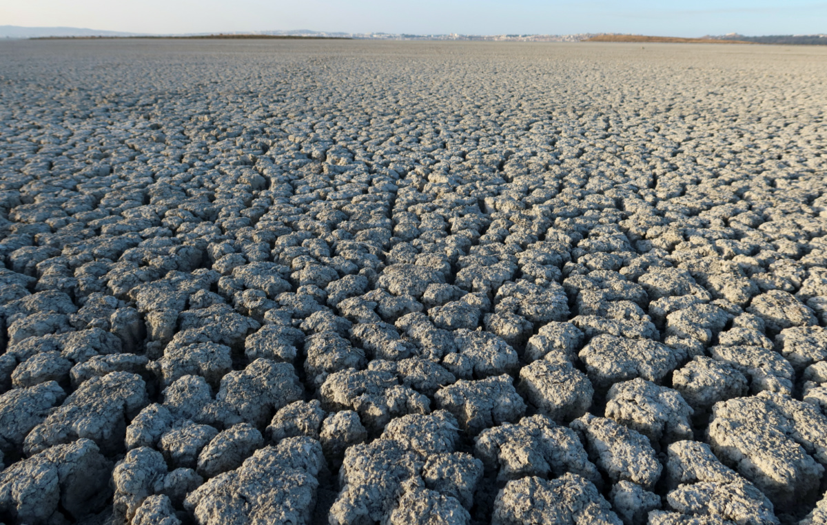 A view shows cracked ground at a dried-out part of the Sijoumi lagoon in Tunis, Tunisia, on 10th August, 2023. 