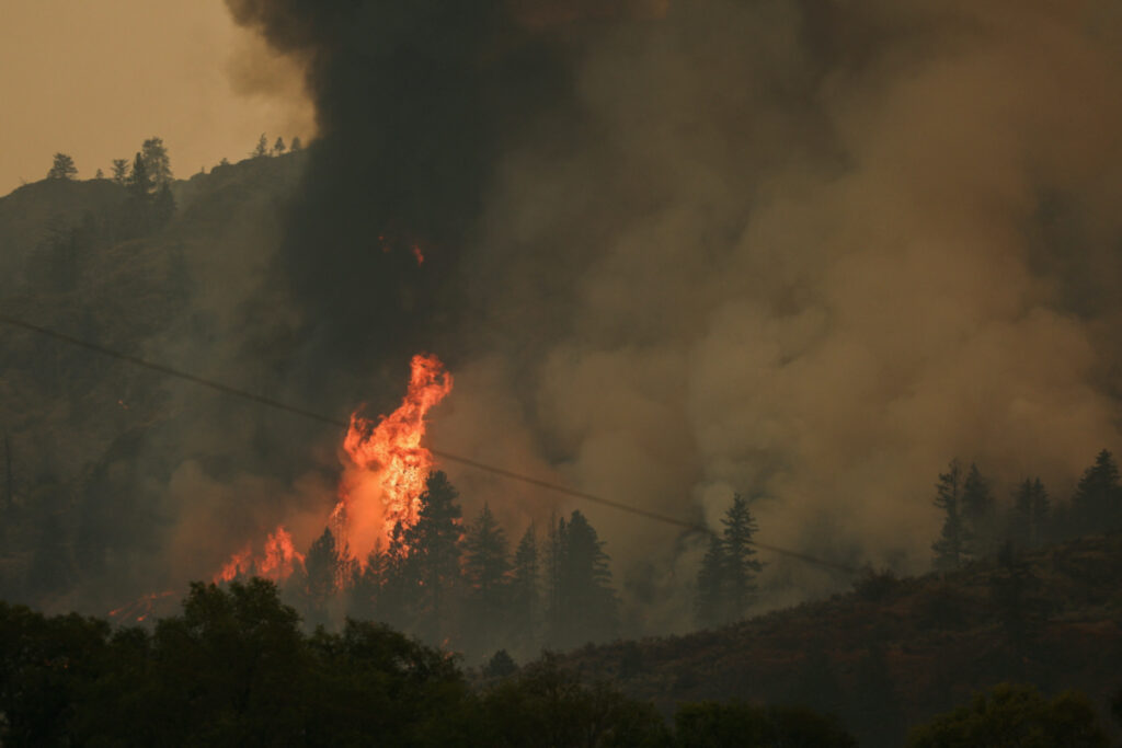 Trees catch fire during the Eagle Bluff wildfire after it crossed the Canada-US border from the state of Washington and prompted evacuation orders, in Osoyoos, British Columbia, Canada, on 30th July, 2023.