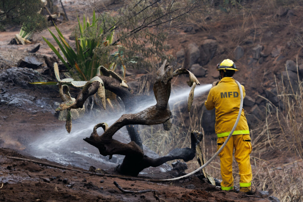 A Maui County firefighter fights flare-up fires in a canyon in Kula on Maui island, Hawaii, US, on 13th August, 2023