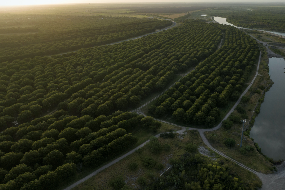 An aerial view of the Heavenly Farms pecan orchard along the Rio Grande river in Eagle Pass, Texas, US, on 29th July, 2023.
