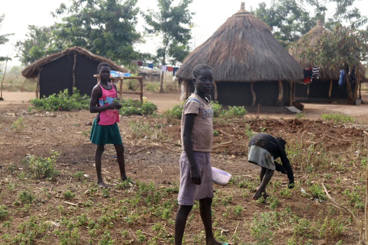South Sudanese refugees pick vegetables in the garden at an Internally Displaced Peoples camp near Malakal, in northern South Sudan