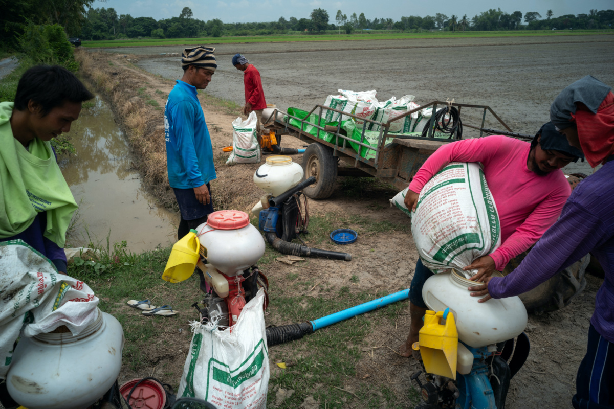 Farmers prepare for paddy seeding in a rice field in Chainat province, Thailand, on 31st August, 2023.