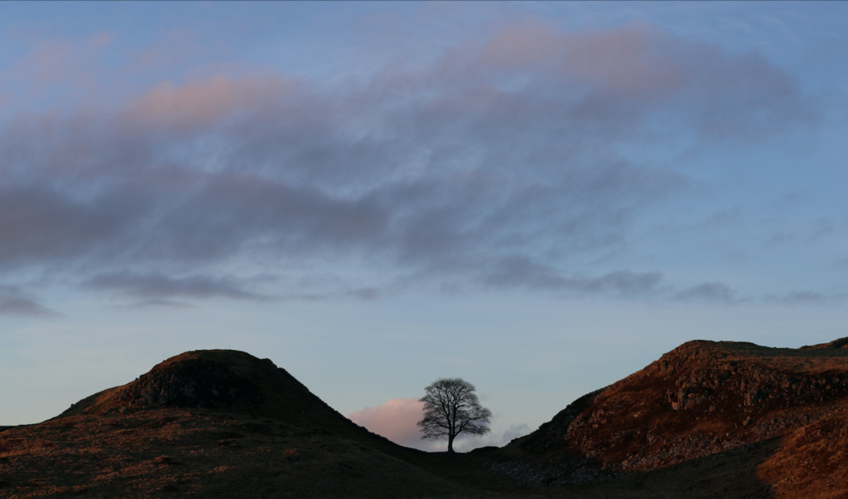 Sycamore Gap is pictured at sunset, near Henshaw, Northumberland, Britain, on 26th February, 2021