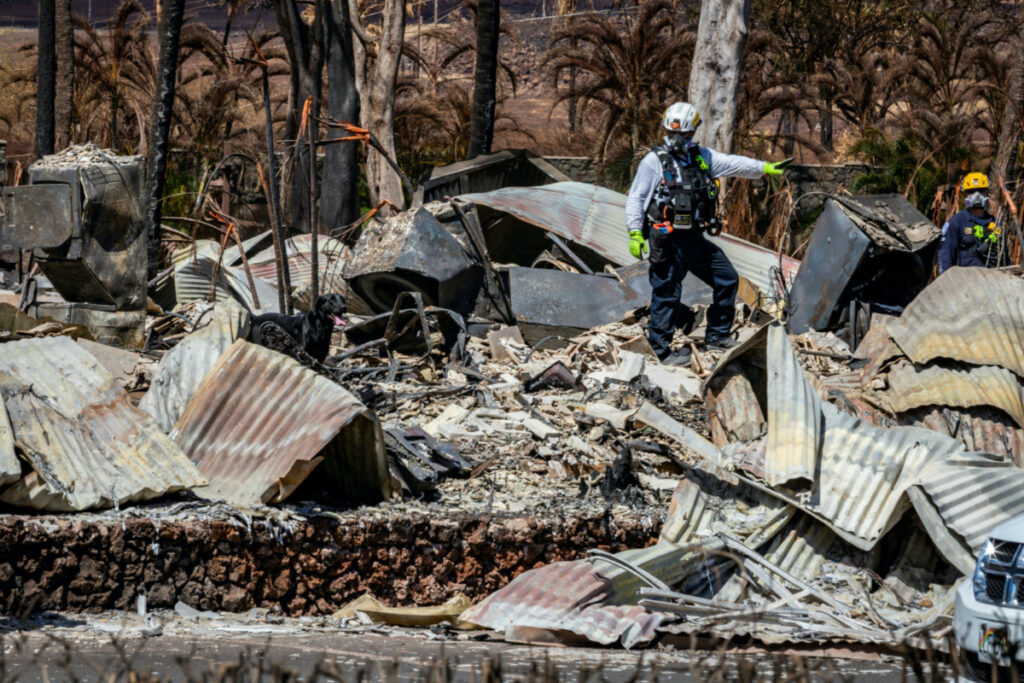 Combined Joint Task Force 50 search, rescue and recovery personnel conduct search operations of areas damaged by Maui wildfires in Lahaina, Hawaii, US, on 15th August, 2023.
