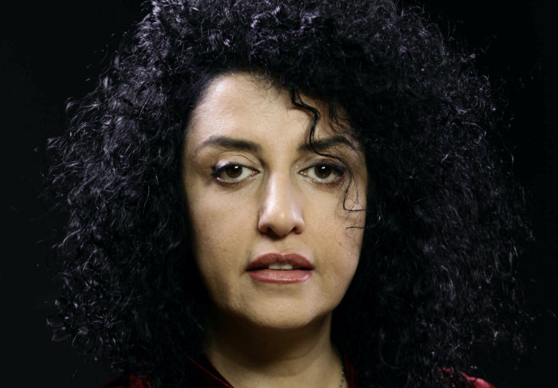 Iranian human rights activist and the vice president of the Defenders of Human Rights Center Narges Mohammadi poses in this undated handout picture
