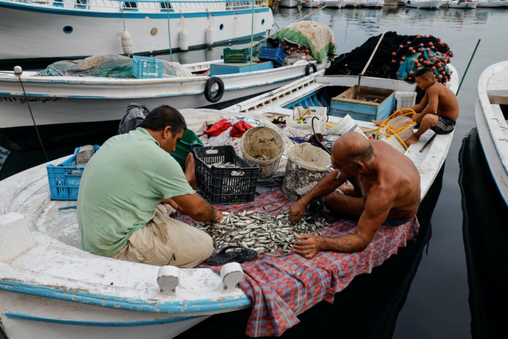 Fisherman Toufik Khouri, 63, filters newly caught sardines in his boat in the port city of Tyre, Lebanon, on 27th October, 2023