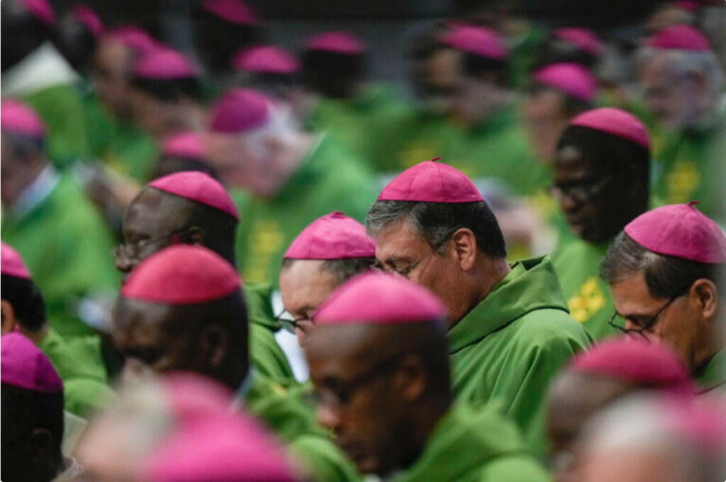 Vatican Catholic Synod bishops