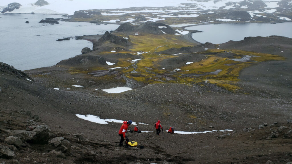 Scientists from the University of Chile collect organic material as they look for a bacteria discovered in Antarctica, on 13th January, 2019.