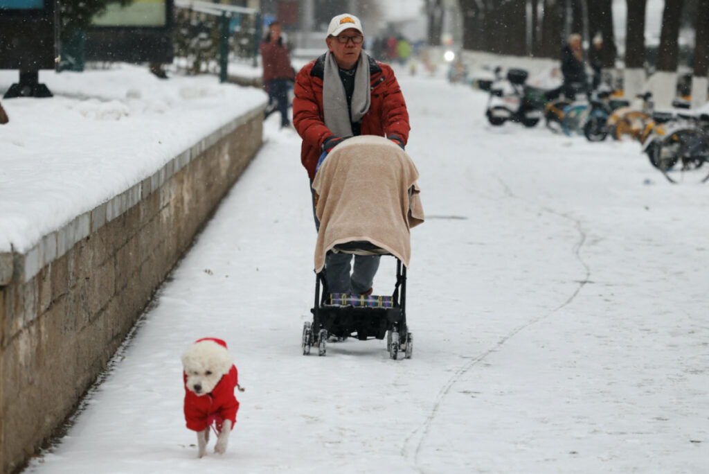 A man pushes a trolley as he walks next to his dog amid snowfall in Beijing, China, on 14th December, 2023