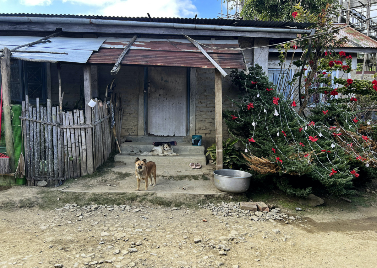 Dogs rest in front of a house with a tree decorated for Christmas in Shangshak village, in the northeastern Indian state of Manipur, on Sunday, 24th December, 2023