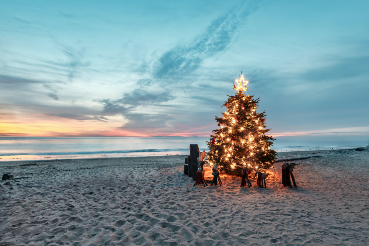 Christmas tree on the beach at Crystal Cove, California