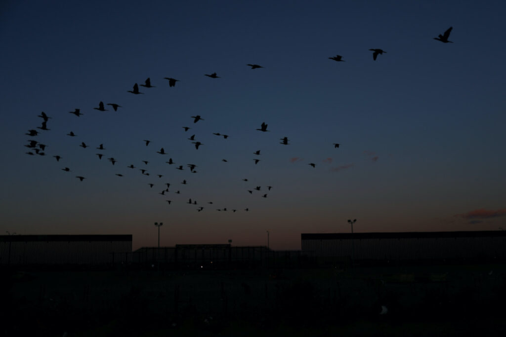 Birds fly near the border wall, on the border between Mexico and the United States, during a day of low temperatures, as seen from Ciudad Juarez, Mexico, on 8th January, 2024.